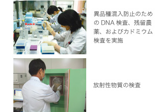 異品種混入防止のためのDNA 検査、残留農薬、およびカドミウム検査を実施 放射性物質の検査