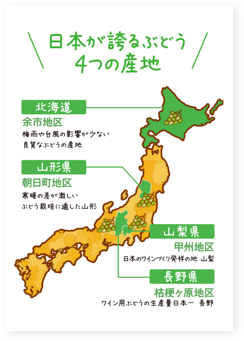日本が誇るぶどう4つの産地