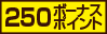 250ボーナスポイント