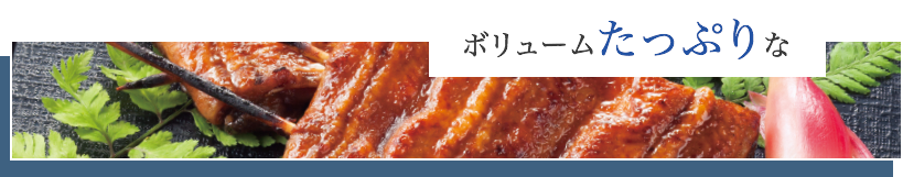 ボリュームたっぷりな