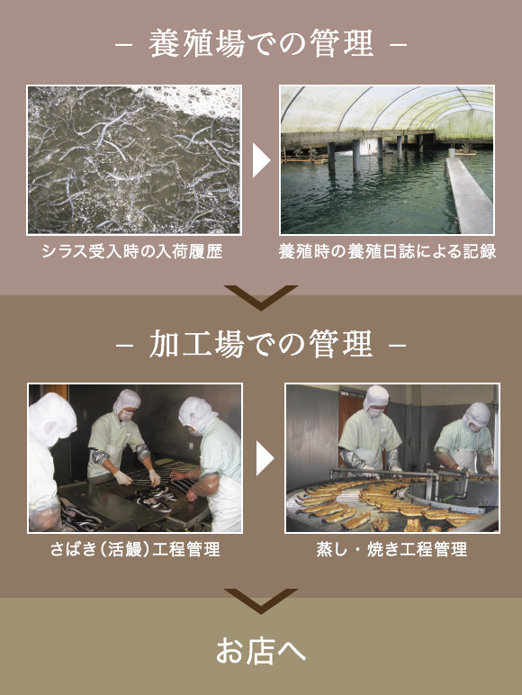 養殖場での管理 加工場での管理 お店へ