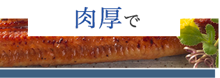 肉厚で