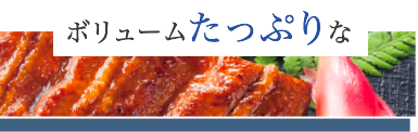 ボリュームたっぷりな