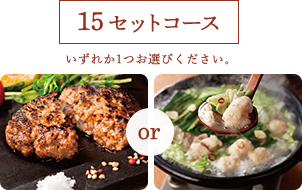 15セットコース