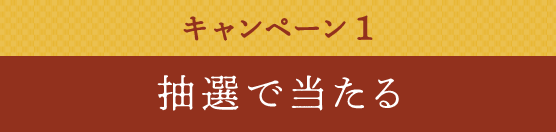 キャンペーン1 抽選で当たる
