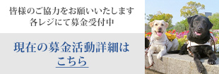 皆様のご協力をお願いいたします。各レジにて募金受付中
