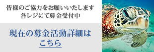 皆様のご協力をお願いいたします。各レジにて募金受付中
