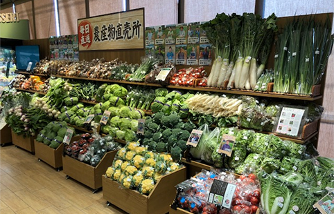 採れたて野菜を売り場に展開