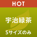 HOT 宇治緑茶