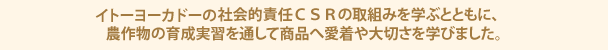 イトーヨーカドーのの社会的責任ＣＳＲの取組みを学ぶとともに、農作物の育成実習を通して商品へ愛着や大切さを学びました。