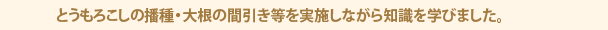 とうもろこしの播種・大根の間引き等を実施しながら知識を学びました。