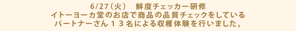 6/27（火）　鮮度チェッカー研修 イトーヨーカ堂のお店で商品の品質チェックをしているパートナーさん１３名による収穫体験を行いました。