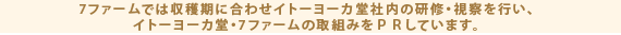 7ファームでは収穫期に合わせイトーヨーカ堂社内の研修・視察を行い、イトーヨーカ堂・7ファームの取組みをＰＲしています。