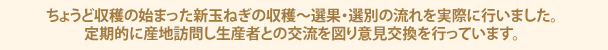 ちょうど収穫の始まった新玉ねぎの収穫～選果・選別の流れを実際に行いました。定期的に産地訪問し生産者との交流を図り意見交換を行っています。