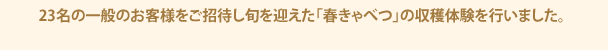 23名の一般のお客様をご招待し旬を迎えた「春きゃべつ」の収穫体験を行いました。