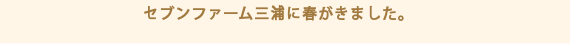 セブンファーム三浦に春がきました。