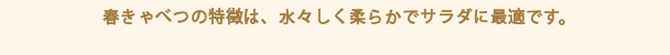 春きゃべつの特徴は、水々しく柔らかでサラダに最適です。