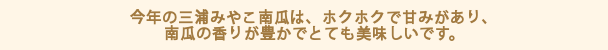 今年の三浦みやこ南瓜は、ホクホクで甘みがあり、南瓜の香りが豊かでとても美味しいです。