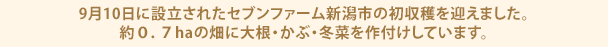 9月10日に設立されたセブンファーム新潟市の初収穫を迎えました。約０．７haの畑に大根・かぶ・冬菜を作付けしています。