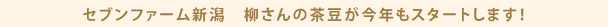 セブンファーム新潟　柳さんの茶豆が今年もスタートします！