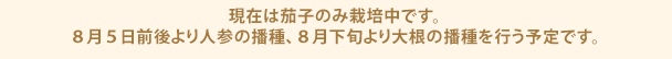 現在は茄子のみ栽培中です。
８月５日前後より人参の播種、８月下旬より大根の播種を行う予定です。