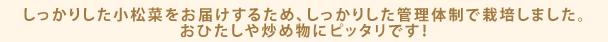 しっかりした小松菜をお届けするため、しっかりした管理体制で栽培しました。おひたしや炒め物にピッタリです！