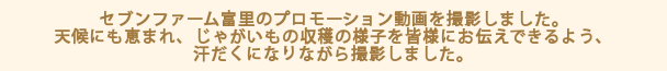 セブンファーム富里のプロモーション動画を撮影しました。天候にも恵まれ、じゃがいもの収穫の様子を皆様にお伝えできるよう、汗だくになりながら撮影しました。