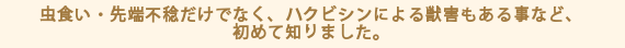 虫食い・先端不稔だけでなく、ハクビシンによる獣害もある事など、初めて知りました。