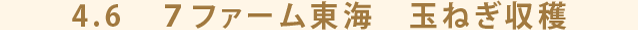 4.6　７ファーム東海　玉ねぎ収穫