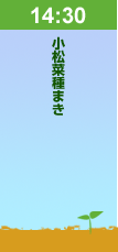 14:30小松菜種まき