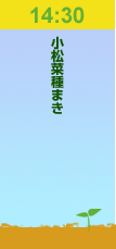 14:30小松菜種まき