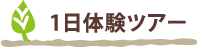 1日体験ツアー
