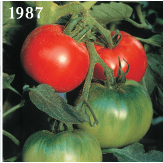 1987