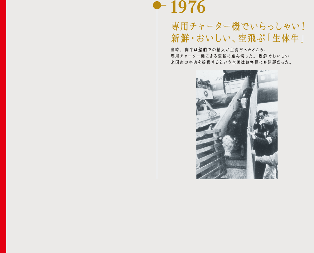 1976 専用チャーター機でいらっしゃい！新鮮・おいしい、空飛ぶ「生体牛」