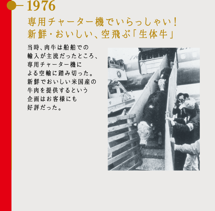 1976 専用チャーター機でいらっしゃい！新鮮・おいしい、空飛ぶ「生体牛」