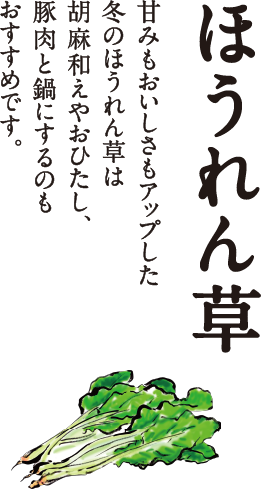 二十四の季節をおもてなし イトーヨーカドー