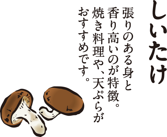 二十四の季節をおもてなし イトーヨーカドー 二十四の季節をおもてなし イトーヨーカドー