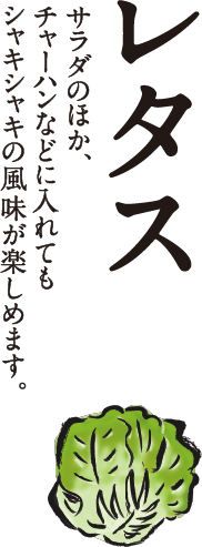 二十四の季節をおもてなし イトーヨーカドー 二十四の季節をおもてなし イトーヨーカドー