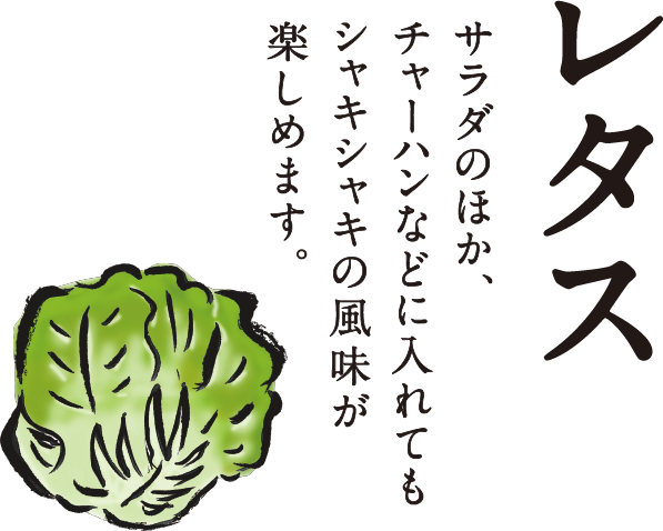 二十四の季節をおもてなし イトーヨーカドー 二十四の季節をおもてなし イトーヨーカドー