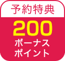 300ポイント
