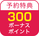 300ポイント