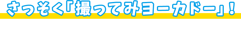 さっそく「撮ってみヨーカドー！」 使い方