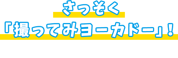 さっそく「撮ってみヨーカドー！」 使い方