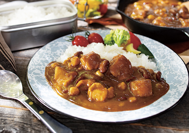 鶏肉と豆のカレー