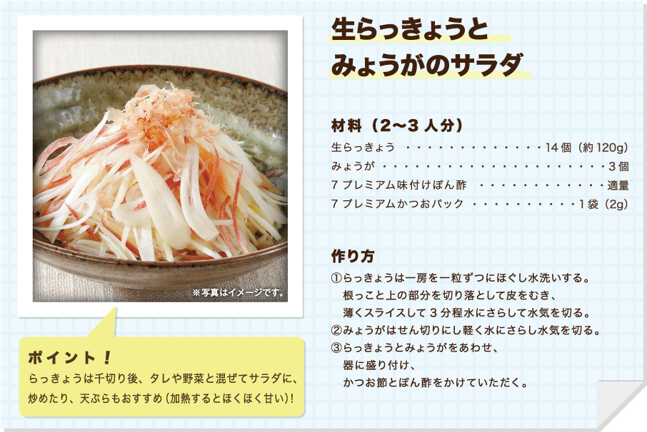生らっきょとみょうがのサラダ