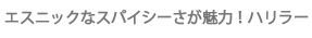 エスニックなスパイシーさが魅力！ハリラー