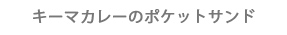 キーマカレーのポケットサンド