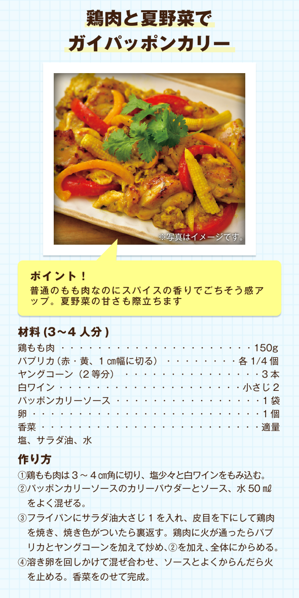 鶏肉と夏野菜でガイパッポンカリー
