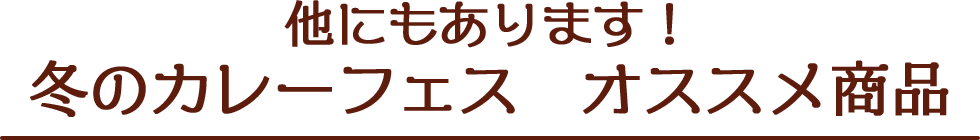 他にもあります!冬のカレーフェスオススメ商品