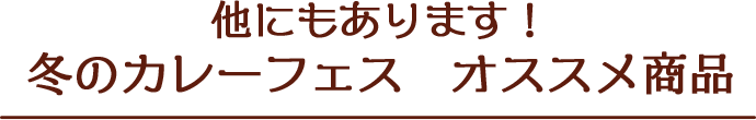 他にもあります!冬のカレーフェスオススメボ商品